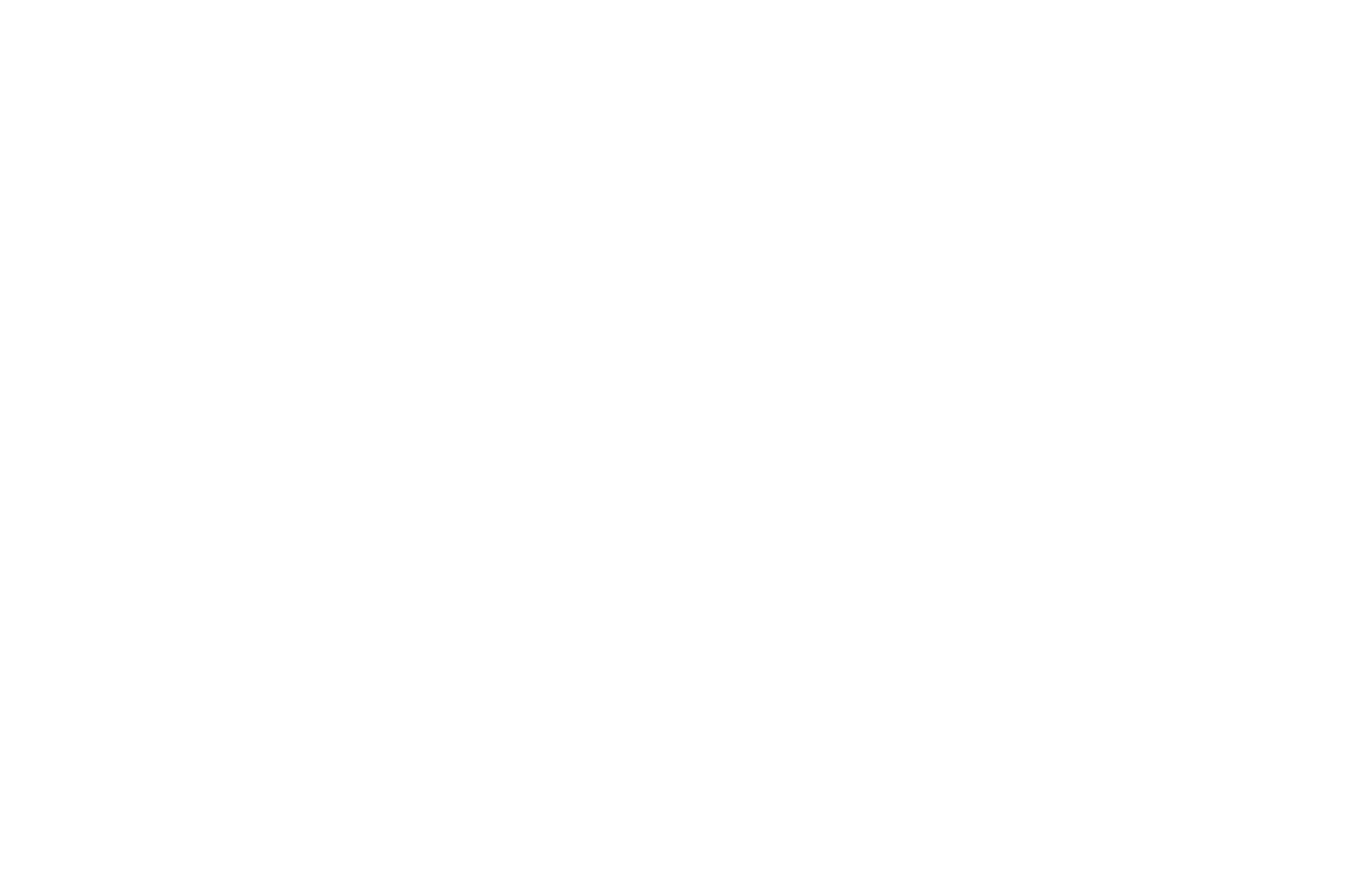 Logo IFDD